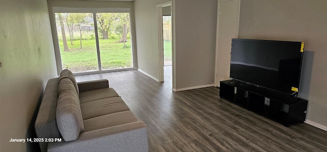 living room featuring dark wood-type flooring