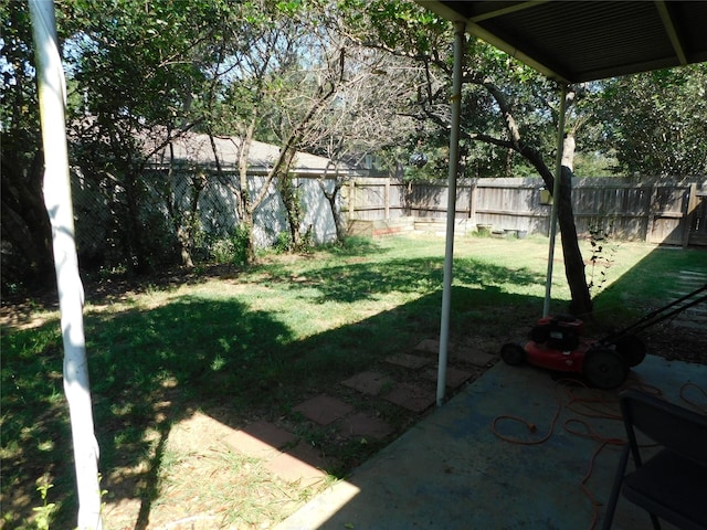 view of yard featuring a patio area and a fenced backyard