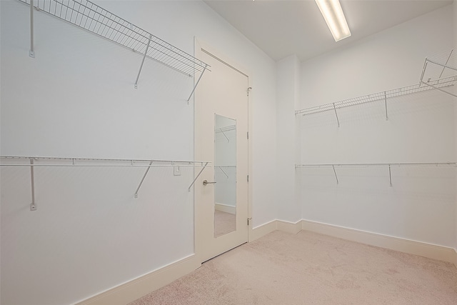 spacious closet featuring light colored carpet