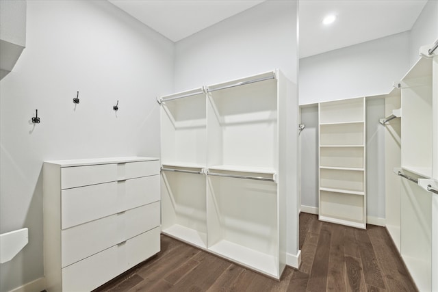 walk in closet featuring dark hardwood / wood-style floors