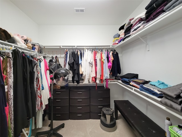 spacious closet with carpet floors