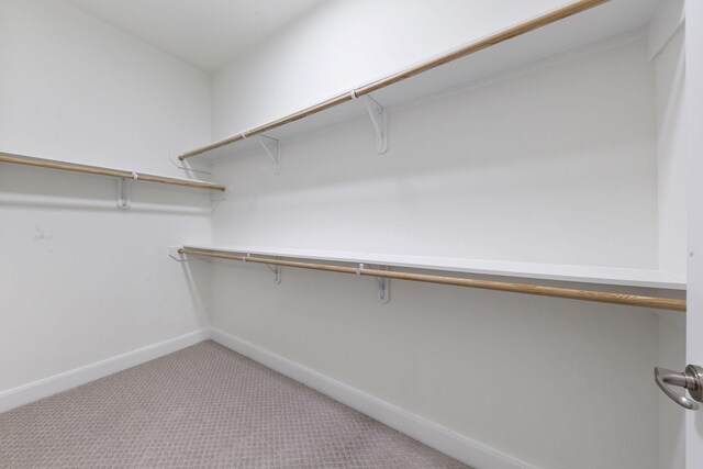 walk in closet with carpet