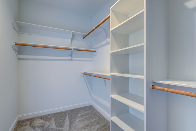 spacious closet with carpet floors