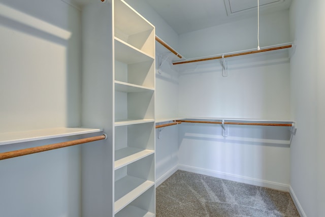 spacious closet with attic access and carpet flooring