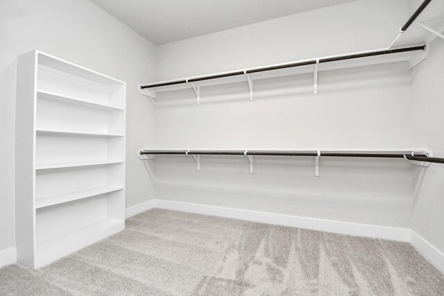 walk in closet featuring light colored carpet