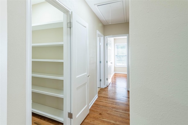 hall with light wood finished floors and attic access