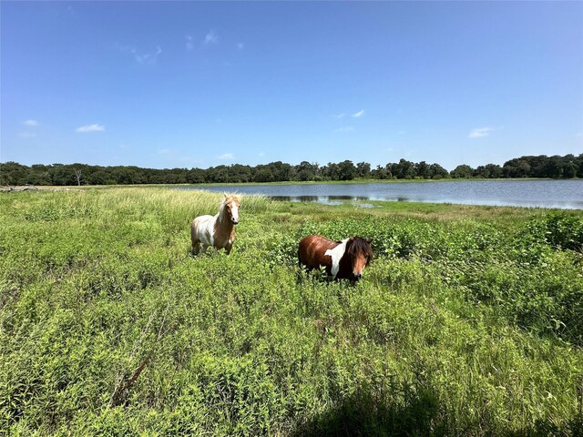 345 Fm 933, Aquilla, TX 76622 - photo 1