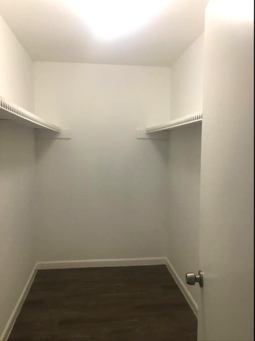 spacious closet featuring wood-type flooring