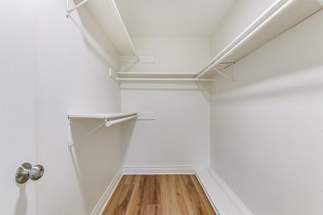 spacious closet with hardwood / wood-style floors