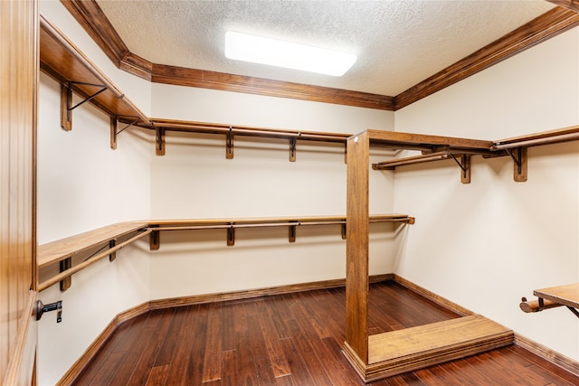 walk in closet featuring dark wood-style floors