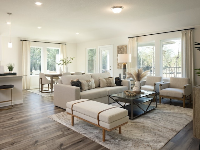 living room with wood-type flooring