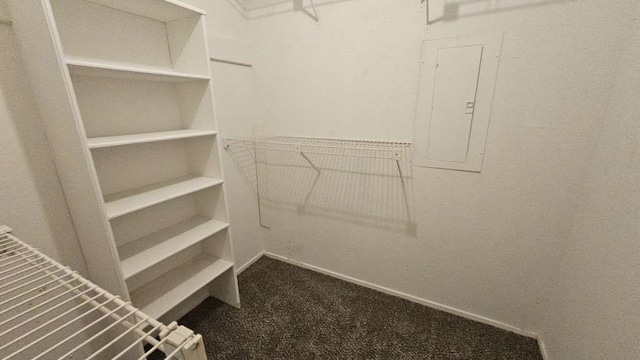 walk in closet featuring carpet floors and electric panel