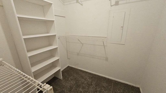 walk in closet with carpet and electric panel