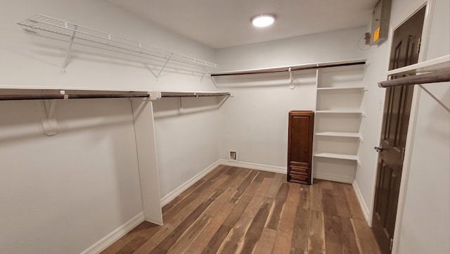 spacious closet featuring dark hardwood / wood-style floors