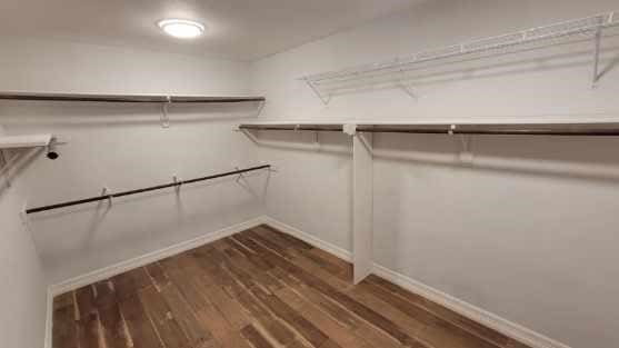 walk in closet with dark hardwood / wood-style floors