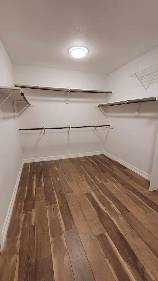 walk in closet featuring dark hardwood / wood-style flooring