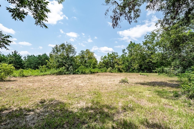 1100 E Houston St, Cleveland, TX 77327 - photo 9