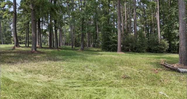 Listing photo 2 for LOT28 Kristen Cir, Huntsville TX 77320