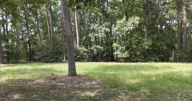 Listing photo 3 for LOT28 Kristen Cir, Huntsville TX 77320