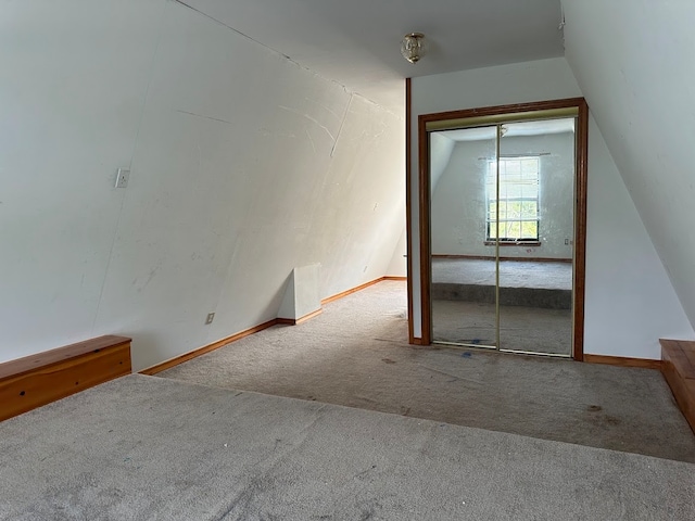 additional living space featuring carpet floors and lofted ceiling