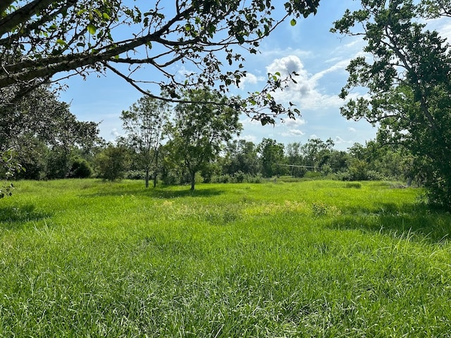 view of nature