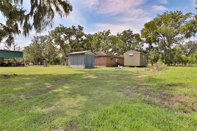 view of yard with a shed