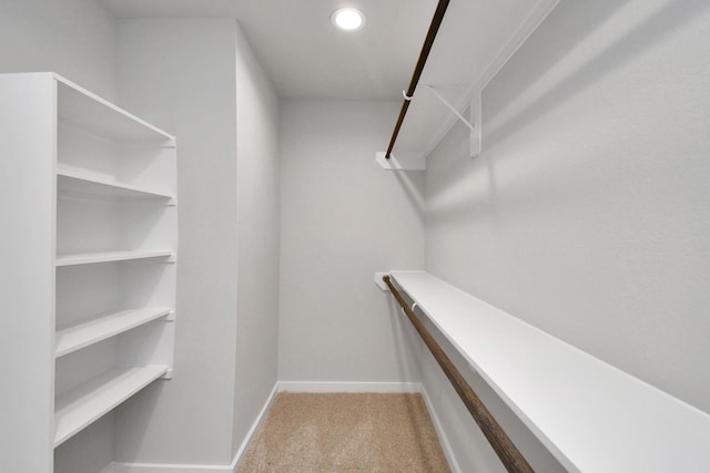 22022 Villa Terrace Dr, Hockley, TX 77447 - walk in closet with carpet