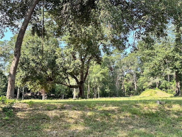 1011 N Nellius St, Woodville TX, 75979 land for sale