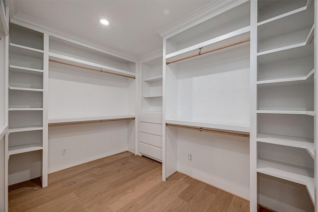 walk in closet with hardwood / wood-style floors