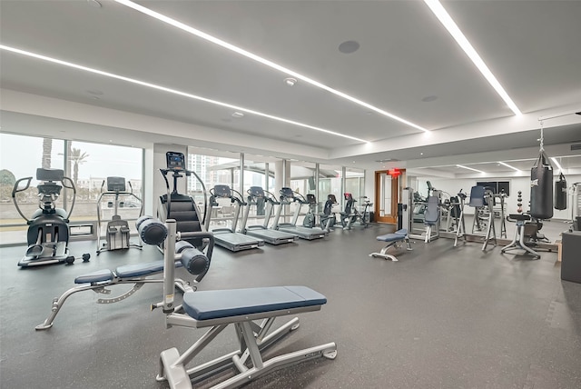 exercise room with a healthy amount of sunlight