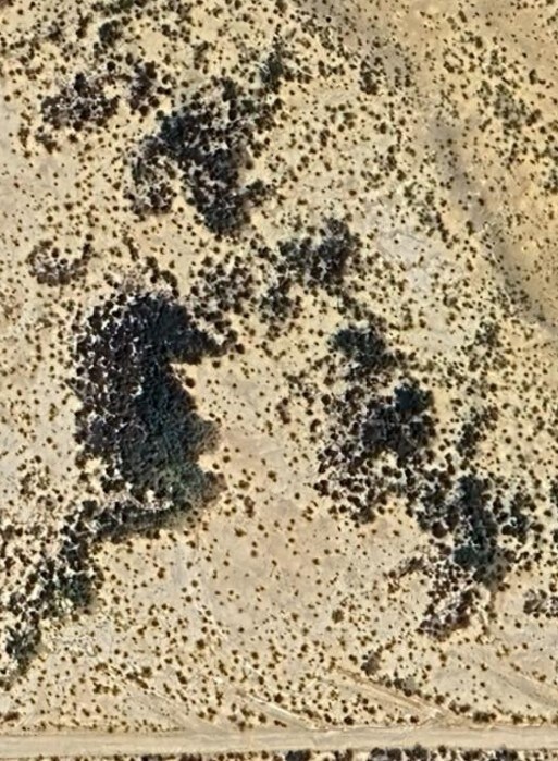 000 Corzo Ave, Study Butte-Terlingua, TX 79852 - photo 1