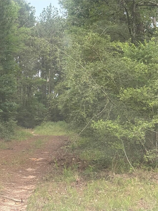 000 County Road 2135, Crockett, TX 75835 - photo 5