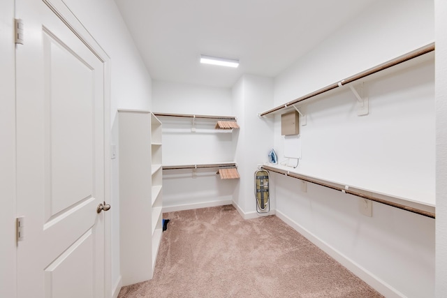 spacious closet featuring built in study area and light colored carpet