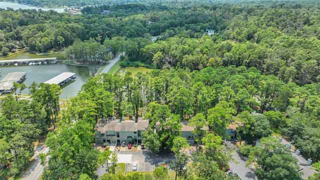146 Villa Way, Coldspring, TX 77331 - photo 26