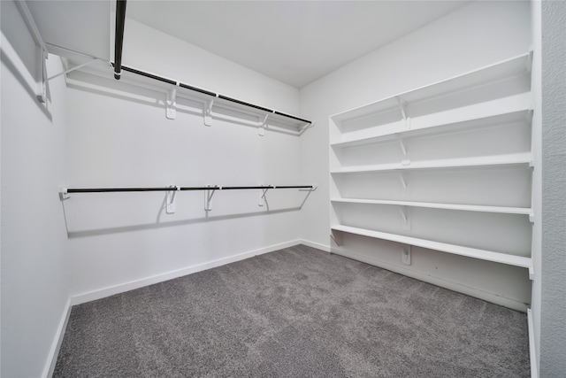 walk in closet with dark colored carpet