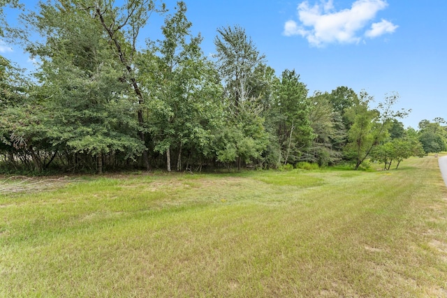 6464 Rolling Oak Dr, Montgomery TX, 77316 land for sale