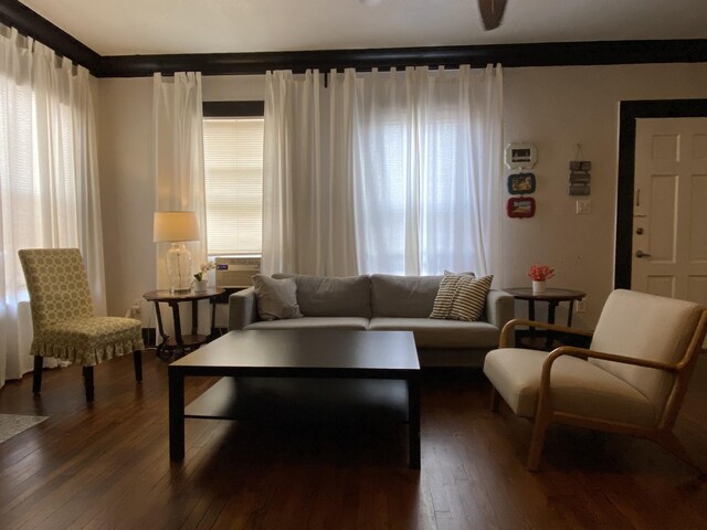 living room with plenty of natural light and dark hardwood / wood-style flooring