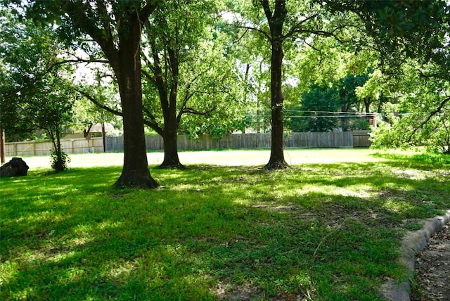 3902 Glenheather Dr, Houston, TX 77068 - photo 6
