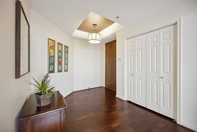 interior space with a raised ceiling and dark hardwood / wood-style flooring