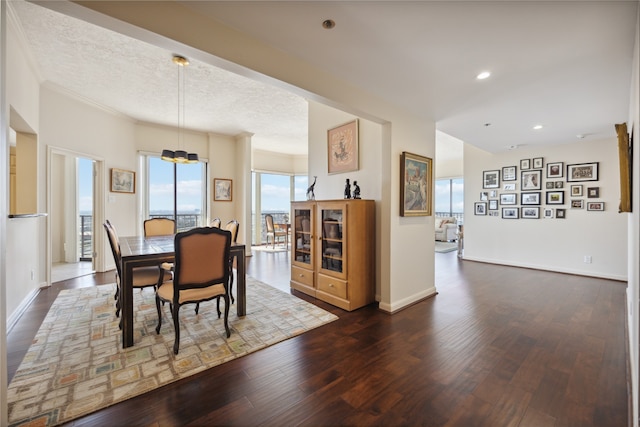 dining room with a textured ceiling and dark hardwood / wood-style floors