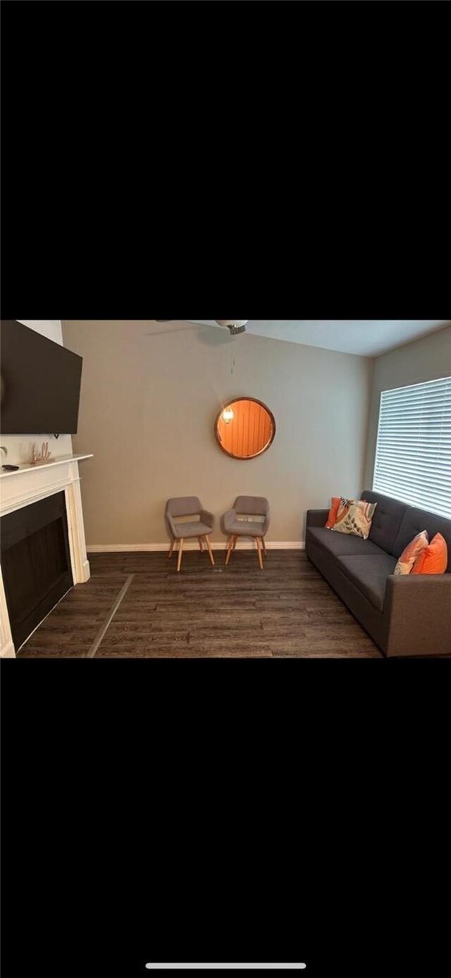 living room featuring dark hardwood / wood-style flooring