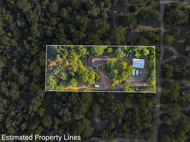 130 Green Acres Loop, Bastrop, TX 78602 - bird's eye view