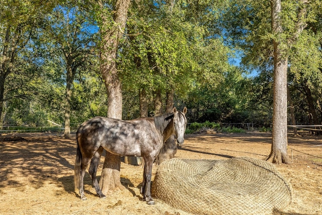 130 Green Acres Loop, Bastrop, TX 78602 - view of stable
