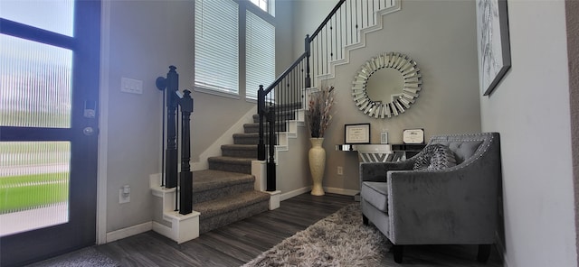 entryway featuring dark hardwood / wood-style floors and a high ceiling