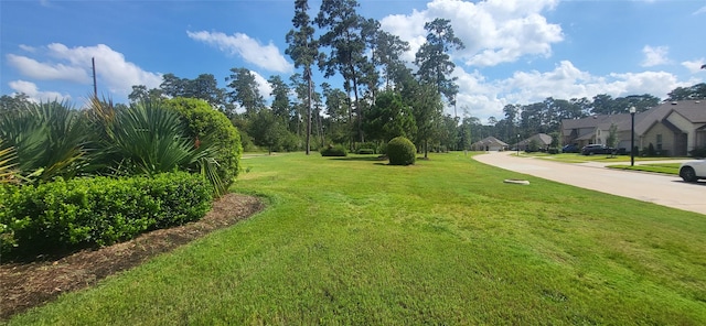 8518 Rialto Canal Loop, Houston, TX 77044 - photo 26