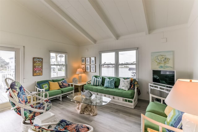 living room featuring vaulted ceiling with beams, wood finished floors, and a wealth of natural light