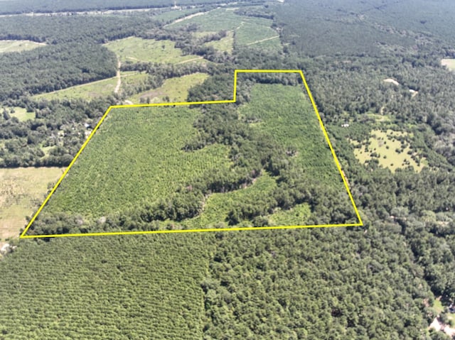 2 Tree Monkey Rd, Ace TX, 77351 land for sale