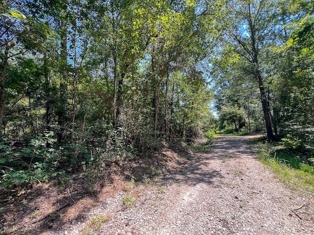 Listing photo 2 for 2 Tree Monkey Rd, Ace TX 77351