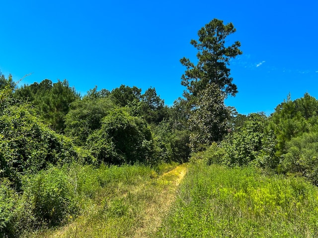 Listing photo 3 for 2 Tree Monkey Rd, Ace TX 77351