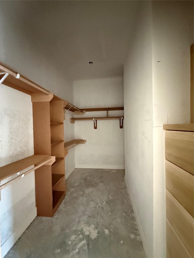 view of walk in closet